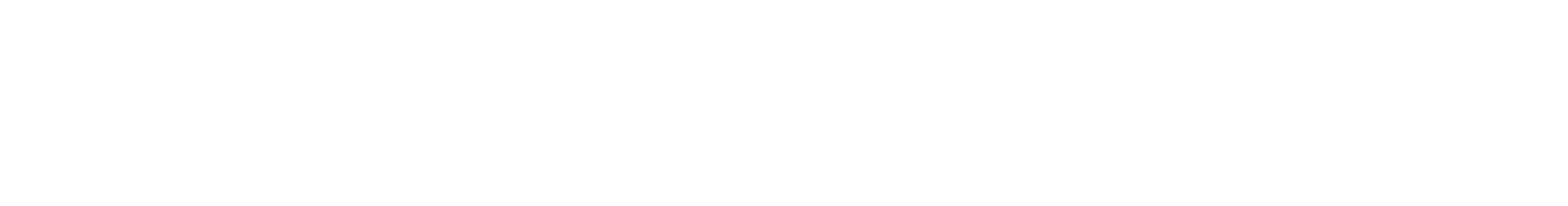 TwinEngine – BCorp